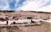 Buffalo-Jump2
