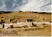 buffalo-jump-1